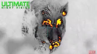 Giant Boar Taken in Texas Using Thermal Imaging | NVision Halo & Pulsar Thermion