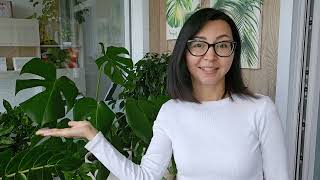 картинка: 🌿Моё первое видео для канала 🌿Обзор всех растений моего домашнего сада