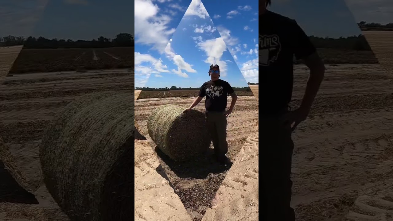 Did You Know You Can Bale Peanut Hay?