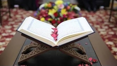 واوحى إلى نوح ... سورة هود تلاوة رائعه وجميله خيال
