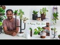 5 trash to treasure money plant and easy house plants decoration ideas for empty spacegreen plants