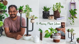 5 Trash to Treasure Money Plant and Easy House Plants Decoration Ideas For Empty Space//GREEN PLANTS