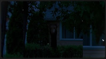 Liminal Spaces But They Keep Getting Creepier...💀 (Part 153)