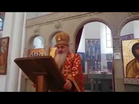 მეუფე სპირიდონის ქადაგება