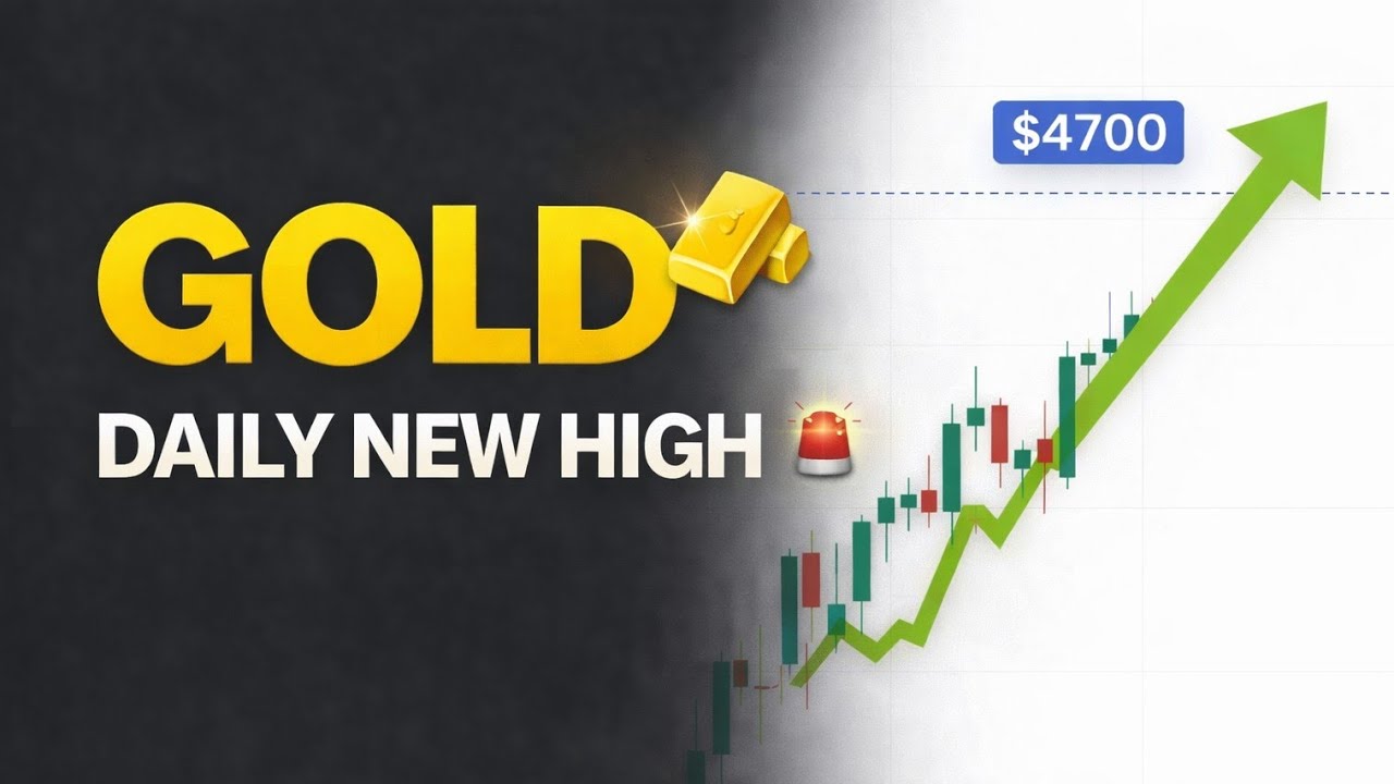 Gold New High Everyday 🚨 | Daily Chart Analysis | XAUUSD Analysis Today 