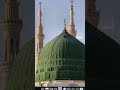 womara nabi hai #mohmmadﷺ #naatzindagi #nabipakﷺ #madinasharif #makkah #subscribemychannel #mohmmadﷺ