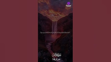 تلاوة من عالمٍ آخر.. الشيخ عمر قريطنة يُبهر كل من يسمع صوته 💫