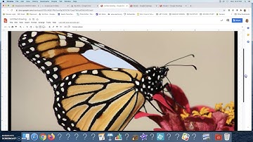 "Digital Mosaic" Video Tutorial