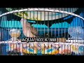 SUARA LENGKAP PERKUTUT [ 𝗞. 𝟴𝟴𝟴 ] RING AQUA BIRD FARM