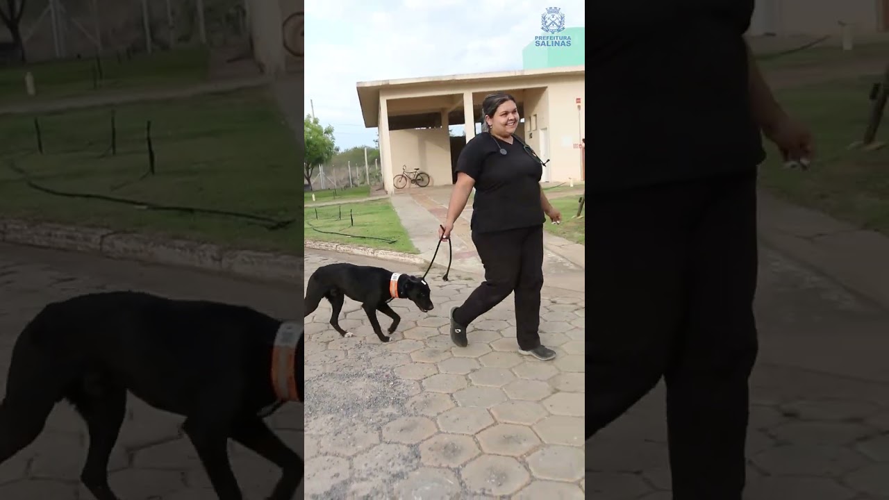 O Castramóvel chegou em Salinas!