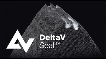 DeltaV-Seal - Core Technology