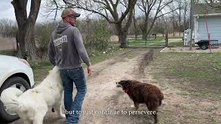 Andrew Smith's story | Finding Freedom Behind Bars