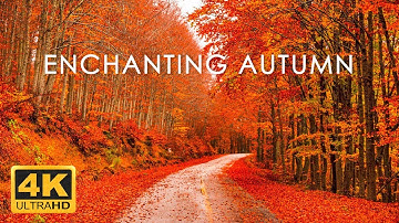 11 HOURS of 4K Enchanting Autumn Nature Scenes + Relaxing Piano Music for Stress Relief
