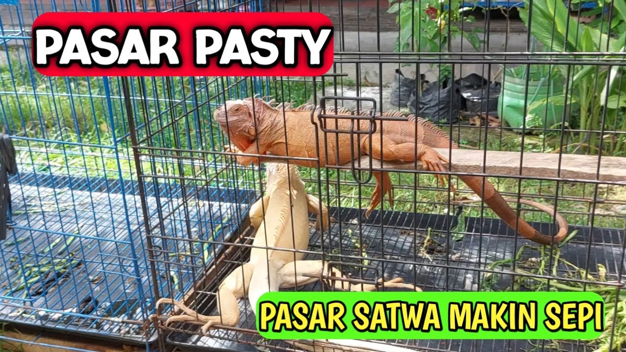 PASAR PASTY SEMAKIN SEPI SETELAH PANDEMI, SAYANG SEKALI