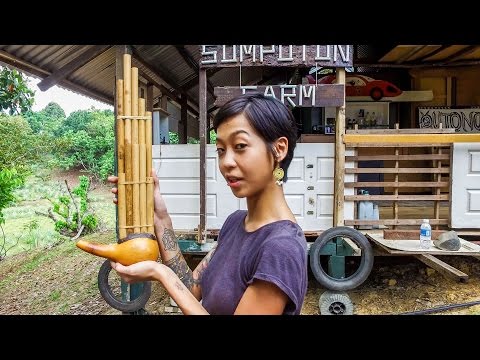 How to make a Sompoton - Sabah Travels