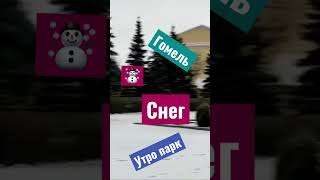 Мой Родной Гомель T✌️Гомель каждый день !! #shorst #гомель #беларусь #shortsfeed #shortvideo #short