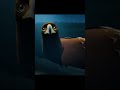 The Pathless | Amigo #parati #fyp #gaming #gameplay #viral #thepathless #action #indiegame #indie