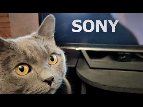Видео: Sony Xperia добър телефон ли е?