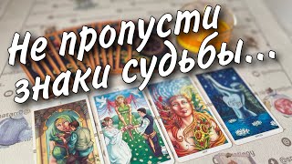 видео: Вы даже не Подозреваете что Выйдет на Поверхность в это Полнолуние... ♥️♣️ таро прогноз знаки судьбы картинка: Вы даже не Подозреваете что Выйдет на Поверхность в это Полнолуние... ♥️♣️ таро прогноз знаки судьбы