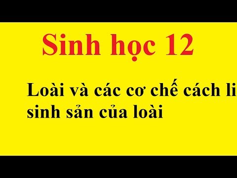 Video: Ý của bạn là cách li sinh sản?