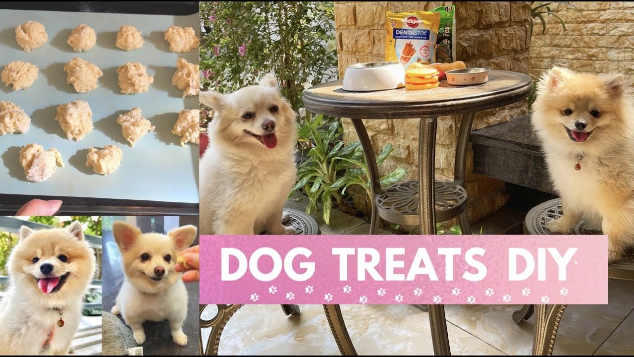 Easy dog treat recipe with no peanut butter YouTube