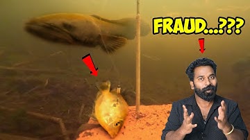 Snake Head Fishing | Real Or Fake | M4 Tech |