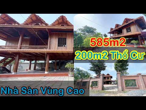 Video Sơn Tùng Sửng Sốt Trước Căn Nhà Của Người Dân Tộc Sân... - youtube