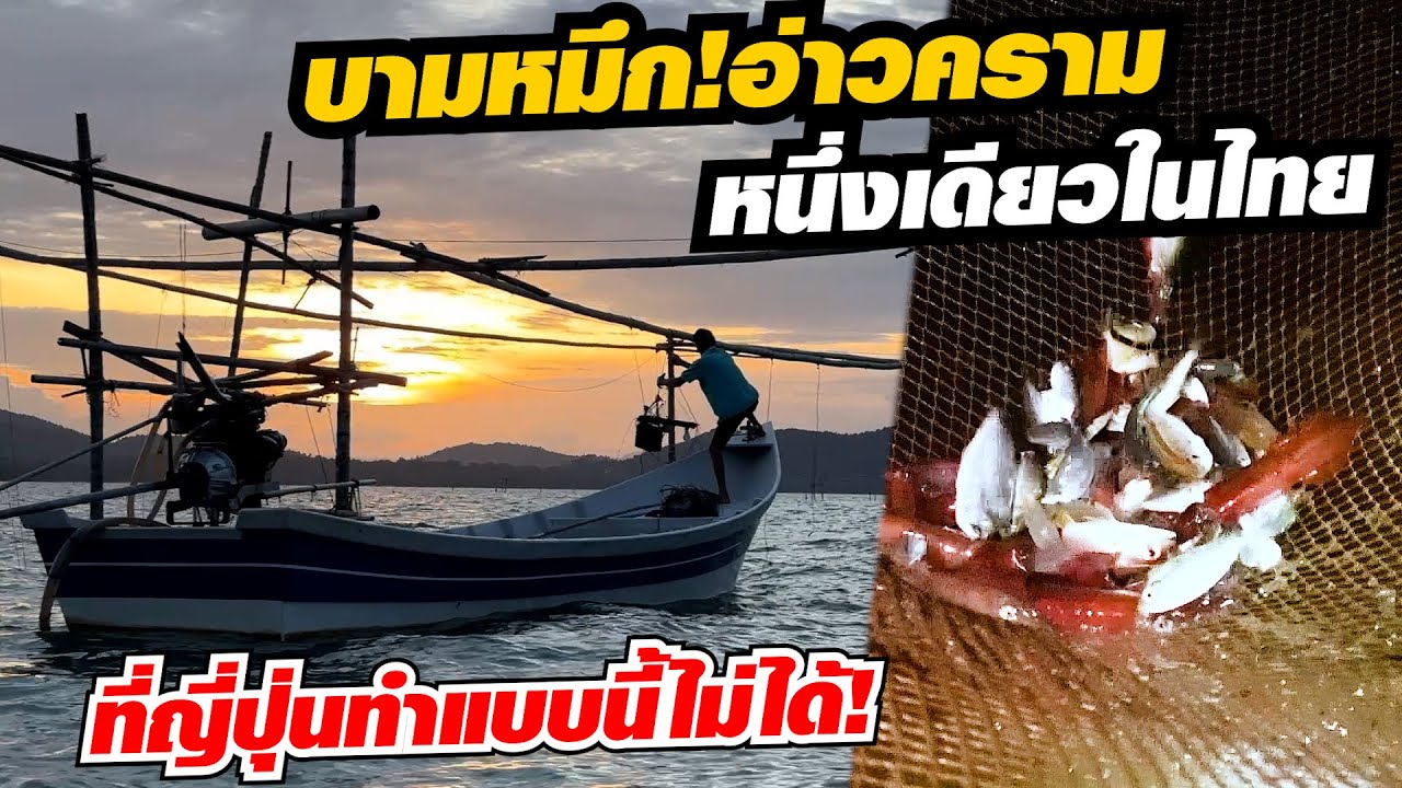 บามหมึก!! หนึ่งเดียวในไทยทำคนญี่ปุ่นอึ้ง อเมซิ่งไทยแลนด์!!!