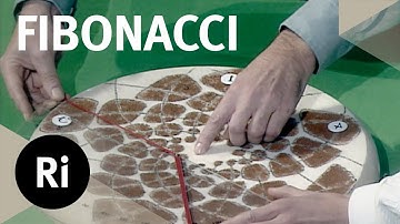 The Golden Angle - Christmas Lectures with Ian Stewart