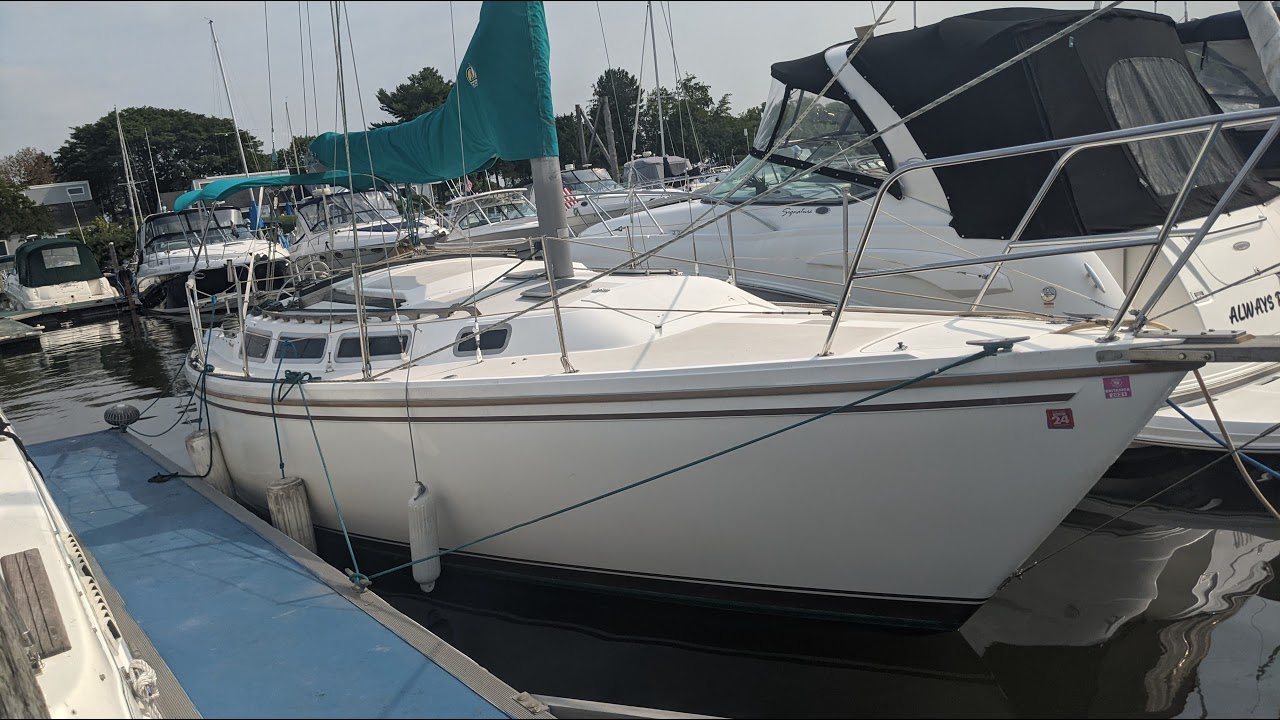 ⁣The Sailing Project Artemis  Live Stream