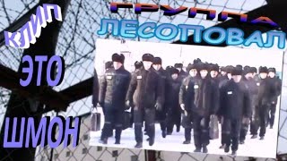 Лесоповал ЭТО ШМОН Лесоповал ЭТО ШМОН