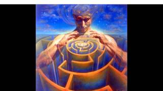 Perception and Judgement Categories