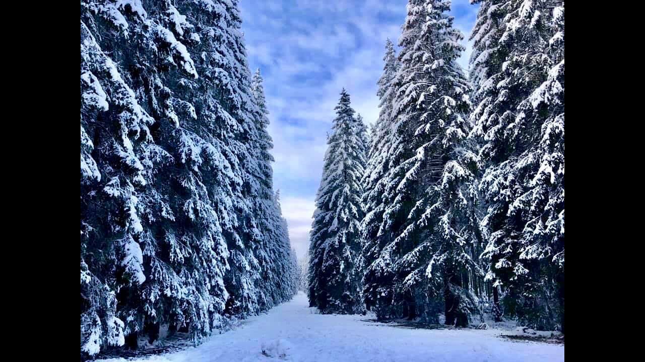 Libramont-Chevigny Winter wonderland