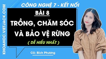 Công nghệ Lớp 7 Bài 8: Trồng, chăm sóc và bảo vệ rừng | Giải Công nghệ 7 | Kết nối tri thức