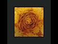 「那由多の華」"Infinite Blossoms of Nayuta" - NAOKI TATE