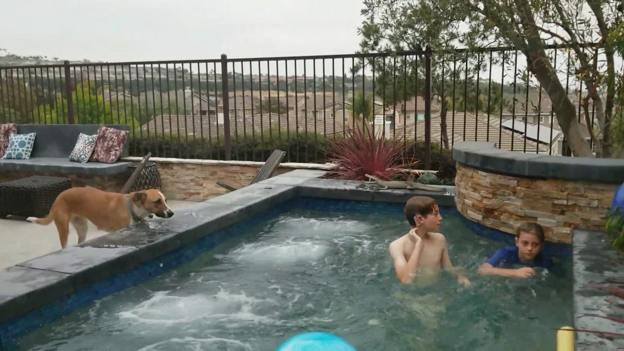 Jelly Playing Volleyball YouTube