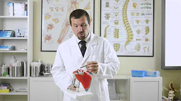 Cosa vuol dire acromion claveare?