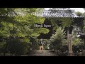 Solo hiking in Himeji, Japan | Shoshazan Engyo-ji