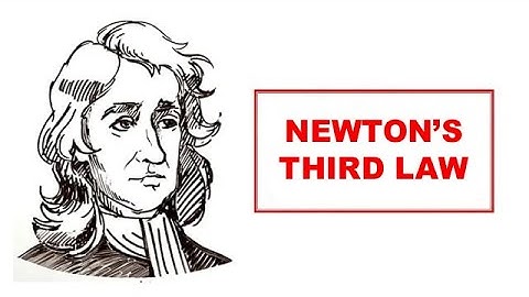 Newton