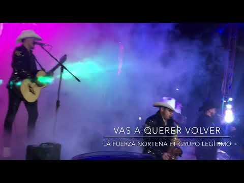 VAS A QUERER