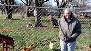 01-15-24 -  We have a new fence! by Happy Wife Acres 275 views 3 months ago 3 minutes, 3 seconds