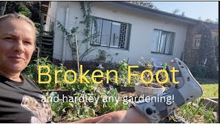 Broken foot and hardly any gardening!