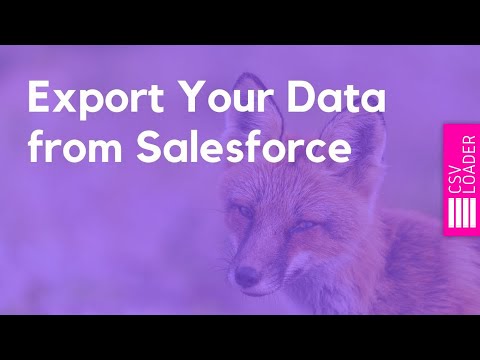 Video: Kas ir Salesforce Data Loader?