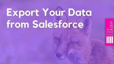 Salesforce Data Export (Leads, Tasks & more)