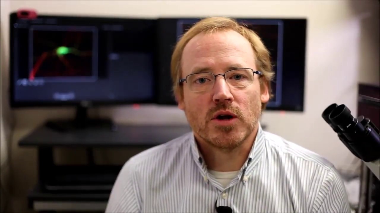 Message from PhD@CERVO Program Coordinator