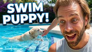 Ragnars First Swim - A Puppys Pool Day Adventure
