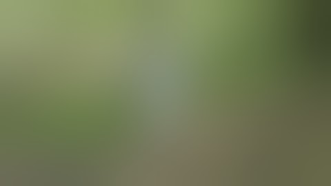 AC-47 Quad Stack AK47 Magazine