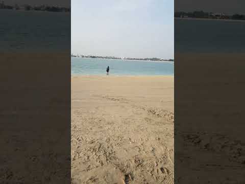 Al Mamzar Beach Dubai #goodvibes #naturelovers #dubai #travellife #beachlife #touristspot #dubailife
