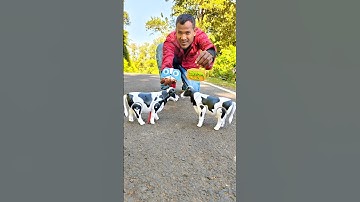 2 Ta remote control Cow unboxing Deko🐄 #toys