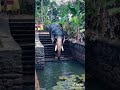 Elephant Bathing Tik Tok Video Elephant Bathing Tik Tok Video